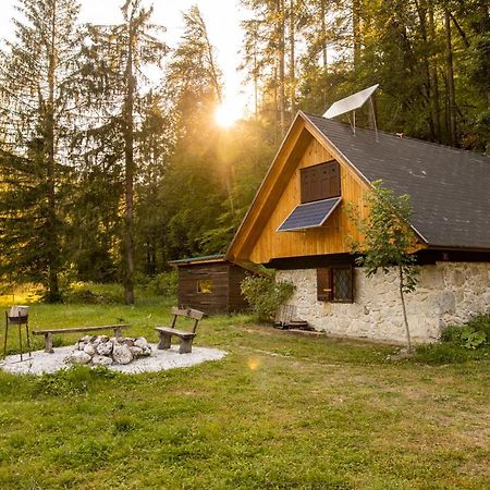 Marko'S Eco Cabin Bled Exteriör bild